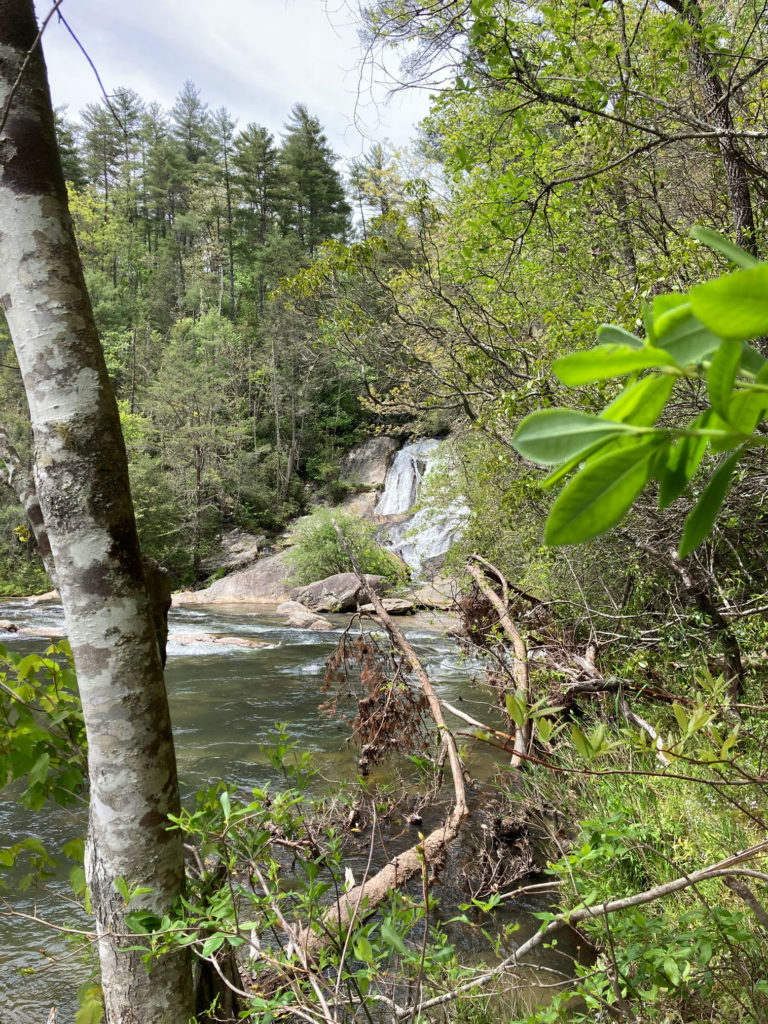 Photo of Dick's Creek in Georgia.