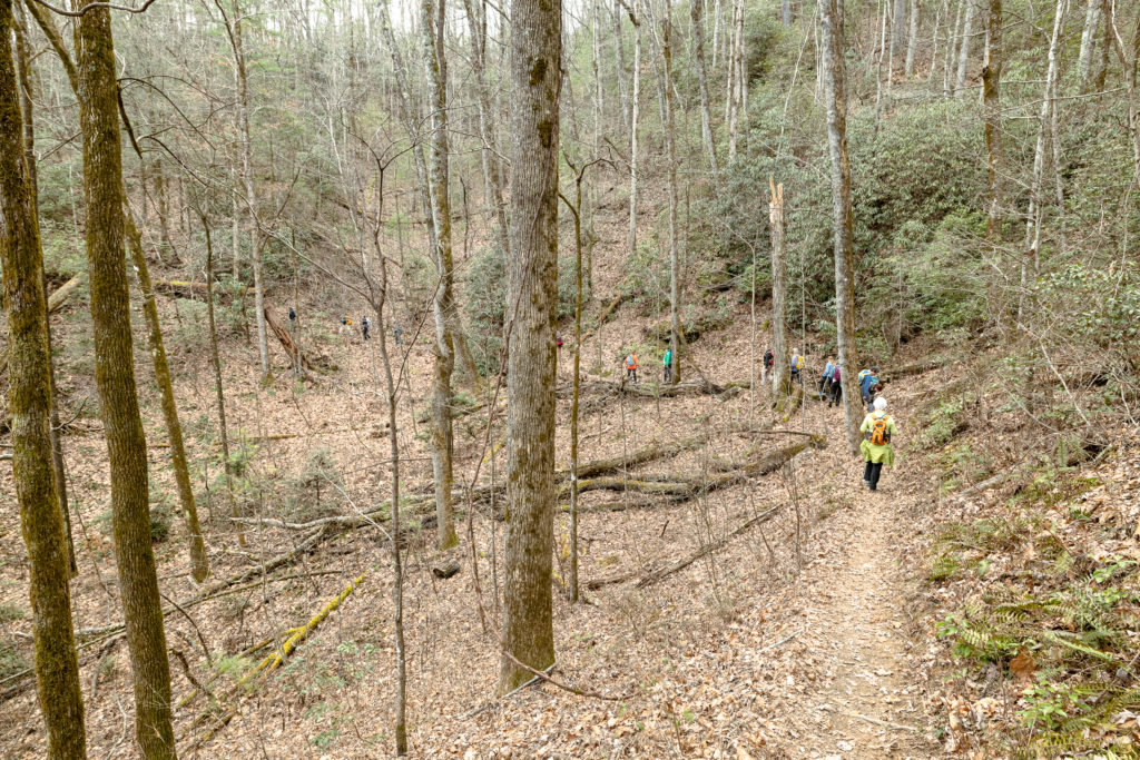 Hikers on the Bartram Trail between Warwoman Dell and Wilson Gap