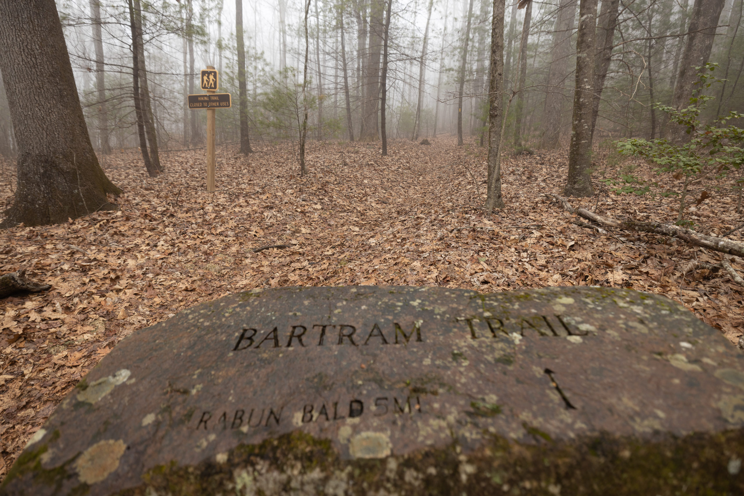 Bartram Trail stone marker at Wilson Gap