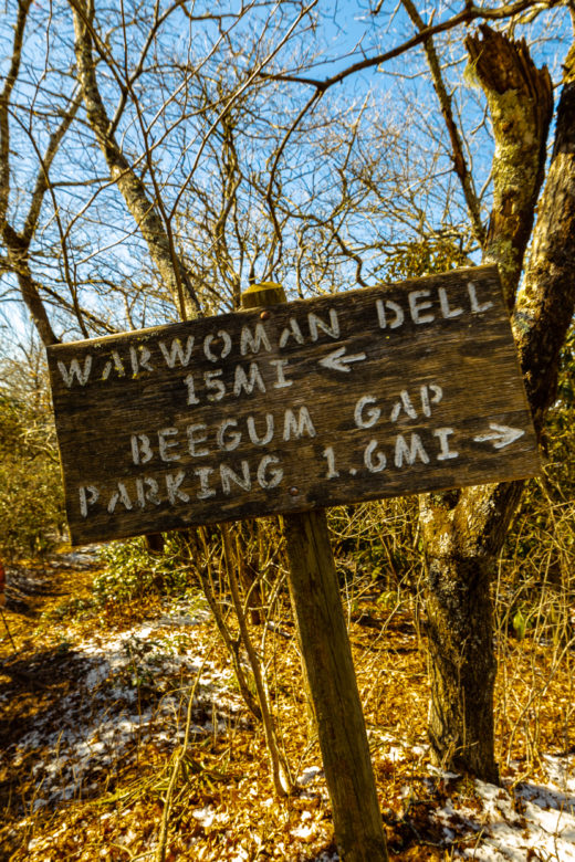 Walking With Bartram Hikers passing this sign on the Bartram Trail just below Rabun Bald