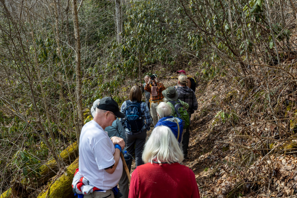 Hikers stopping to discuss trees and birds they were seeing on the loop trail at Joyce Kilmer Memorial Forest