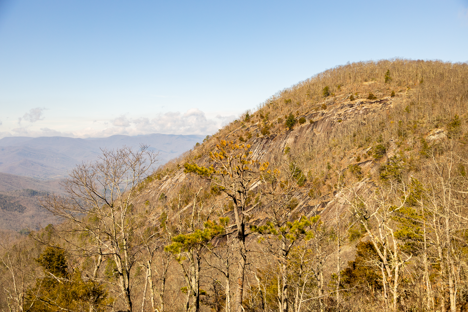 View of Whiterock on the Bartram Trail between Jones Gap and Hickory Knoll Road