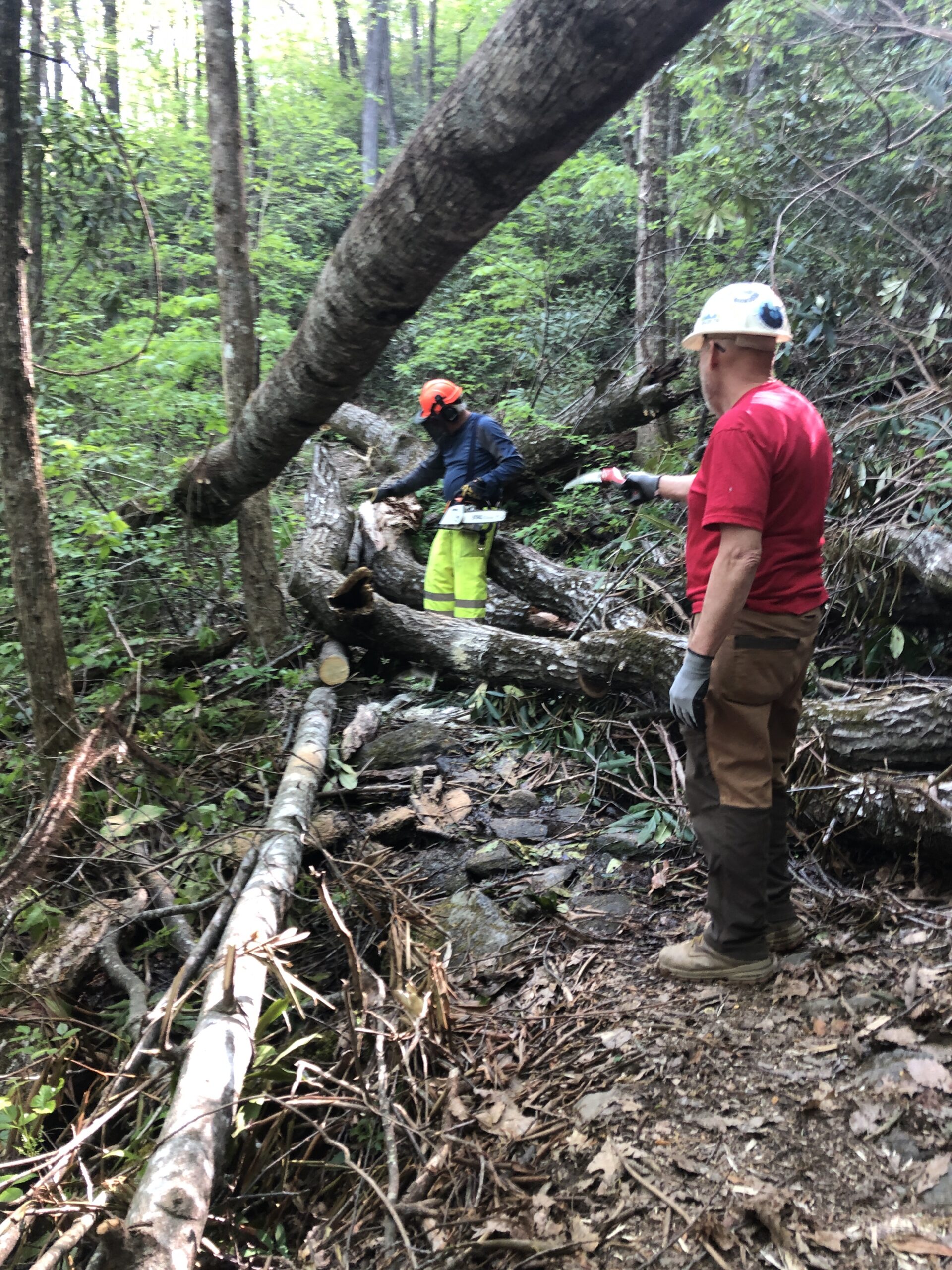 Ross and David working on a blowdown during a volunteer workday