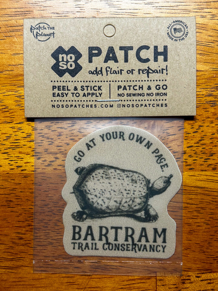 Go At Your Own Pace NoSo Patch - front