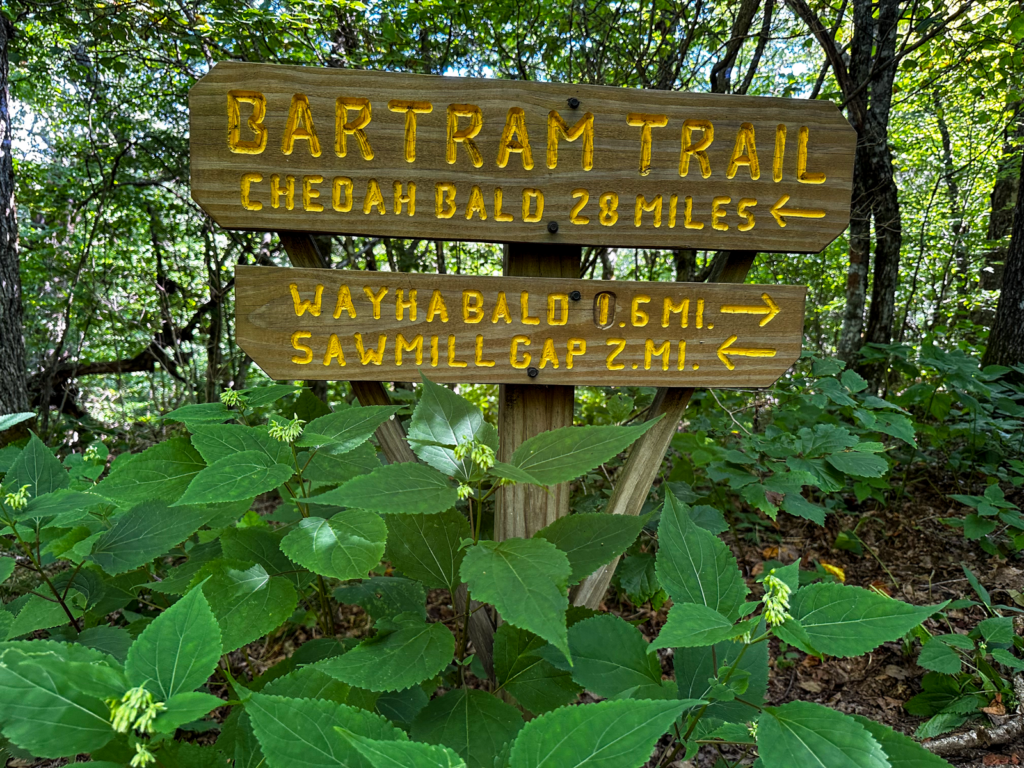 Walking With Bartram – Wayah Bald to Lake Nantahala
