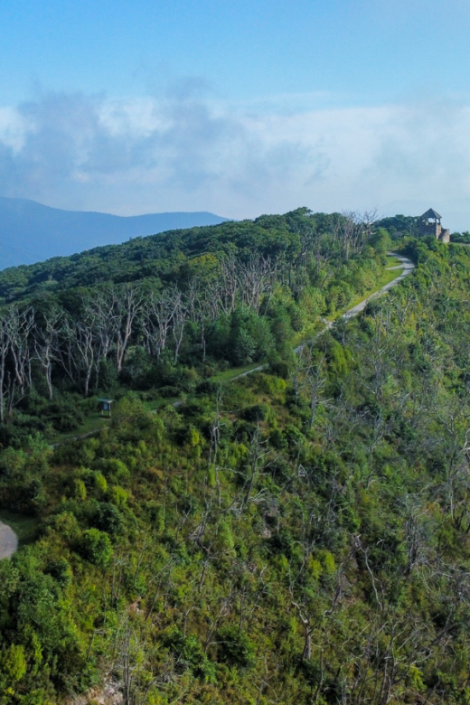 Walking With Bartram – Wayah Bald to Lake Nantahala