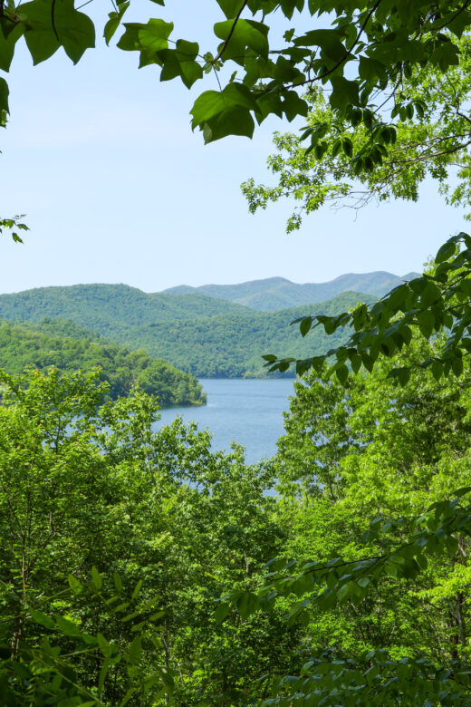 View of Lake Nantahala from the Bartram Trail on the way to Appletree Campground