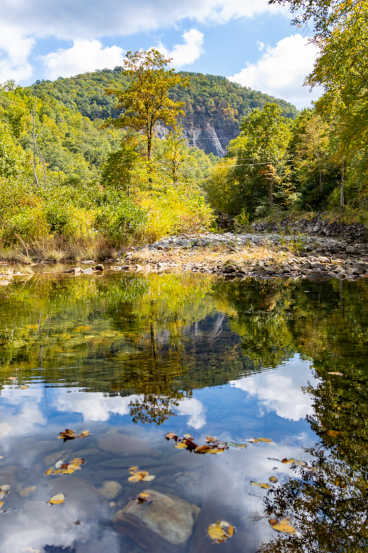 Walking With Bartram from Lake Nantahala to Appletree Campground