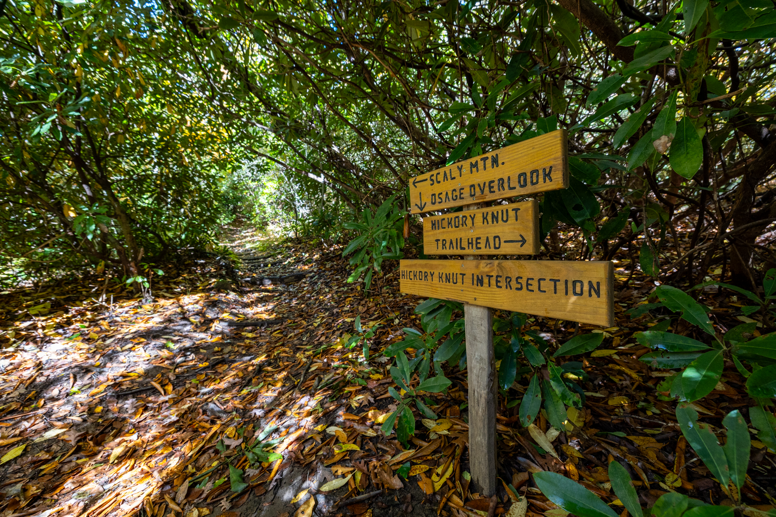 Scaly Mountain Trailhead Sign