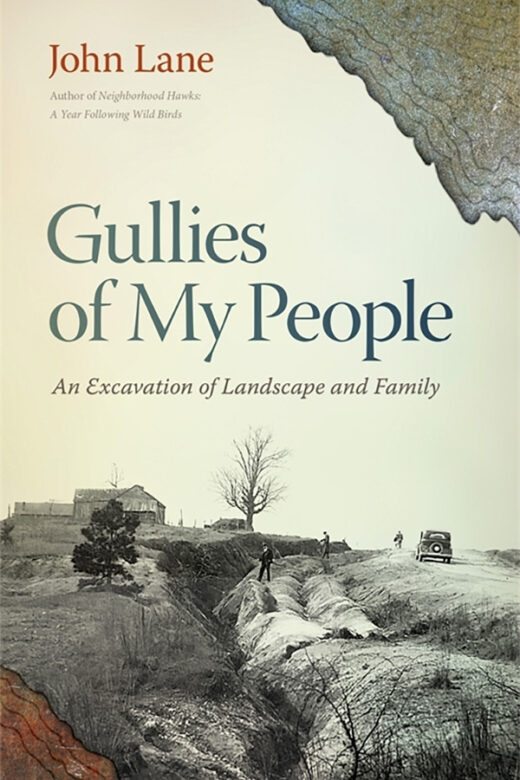 Book Cover - Gullies of My People - John Lane