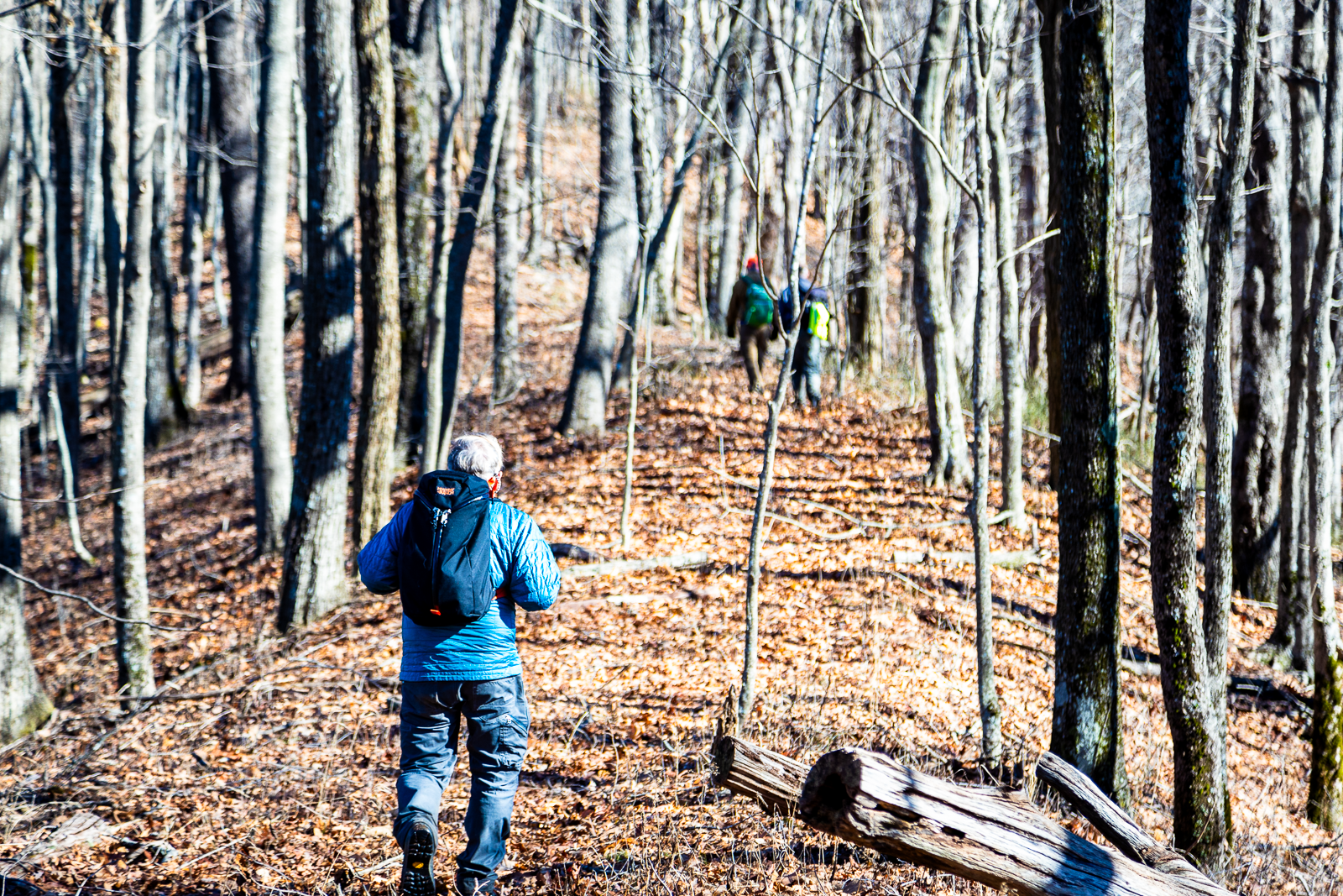 Hiking the Western extension of the Bartram Trail.
