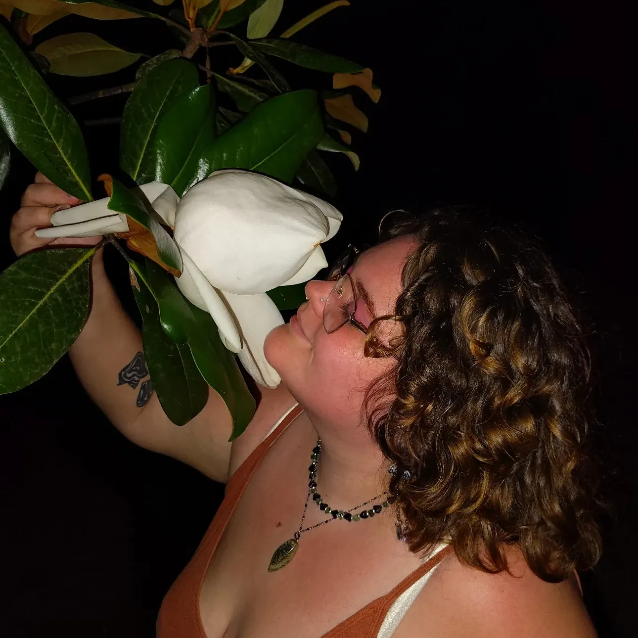 Profile image for Fiona Howell