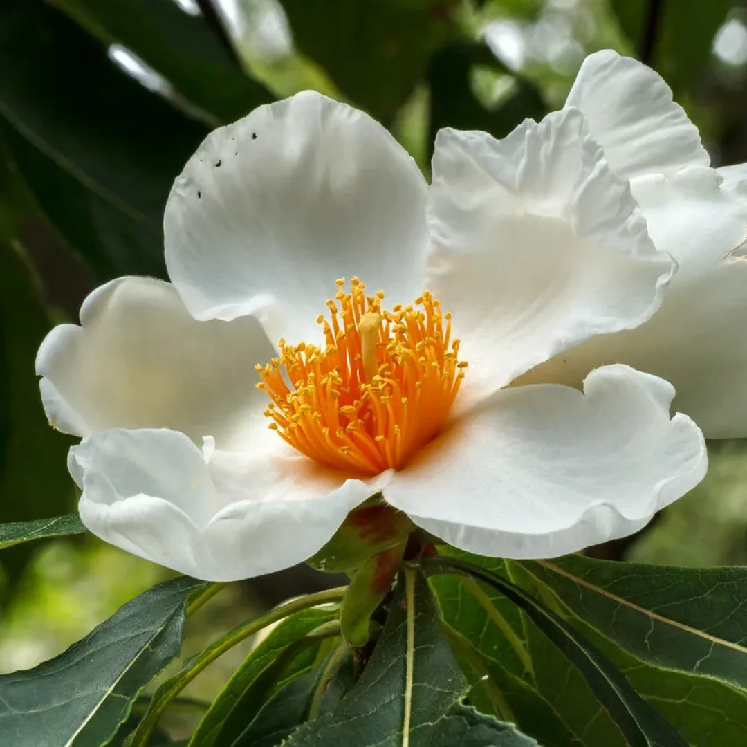 Profile image for Philip Rogers